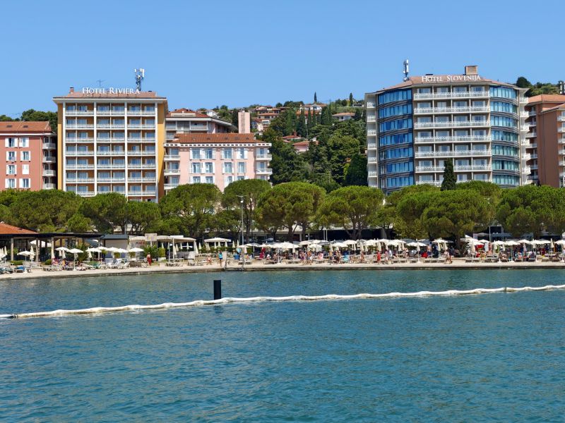 Slika članka