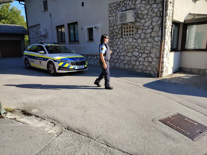 Slika članka