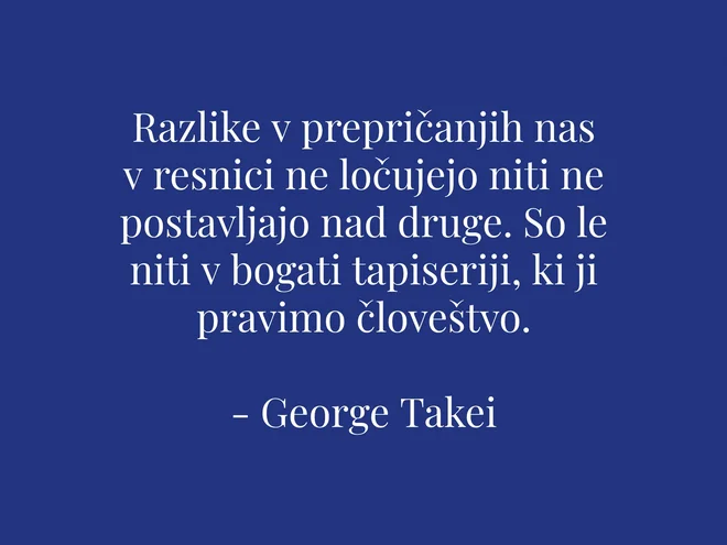 Slika članka