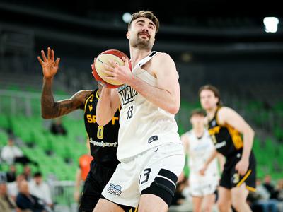 Slika članka