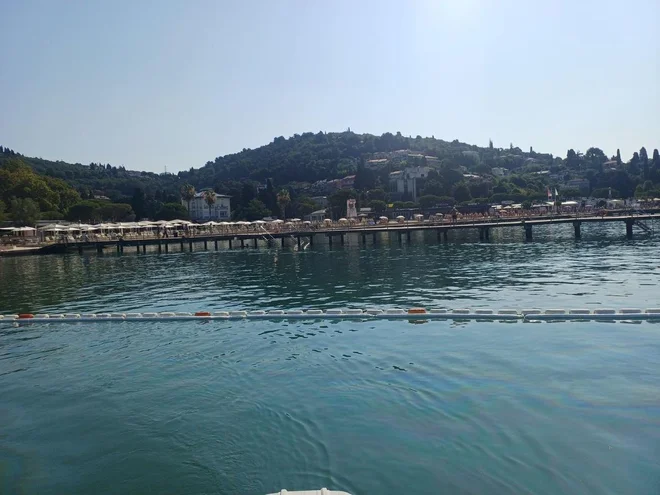 Slika članka