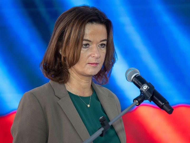 Slika članka