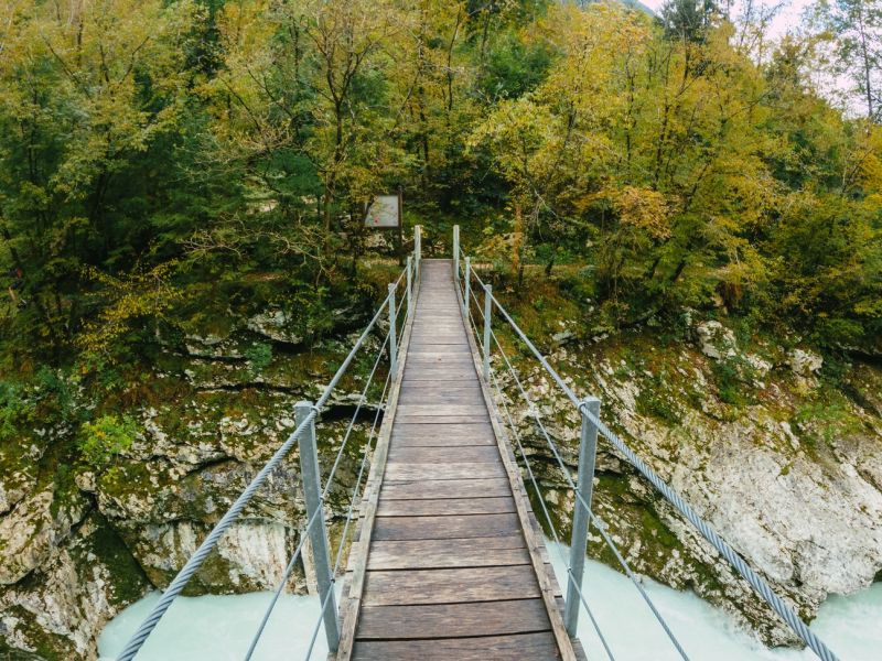 Slika članka