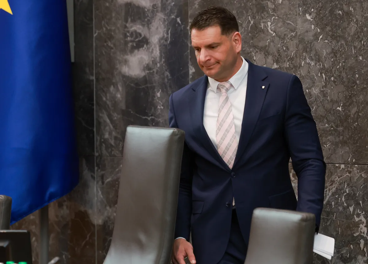 Slika članka
