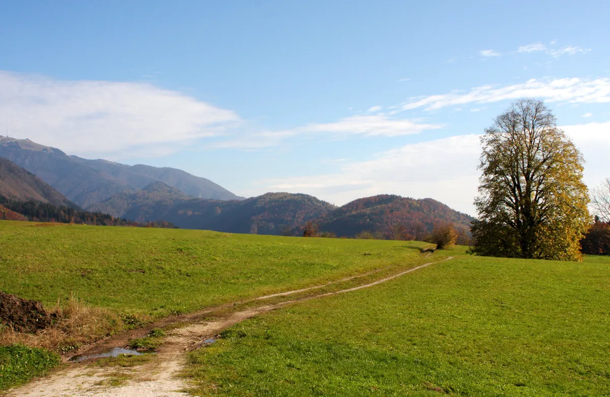 Slika članka