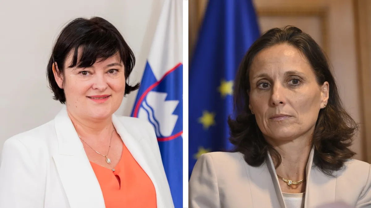 Slika članka