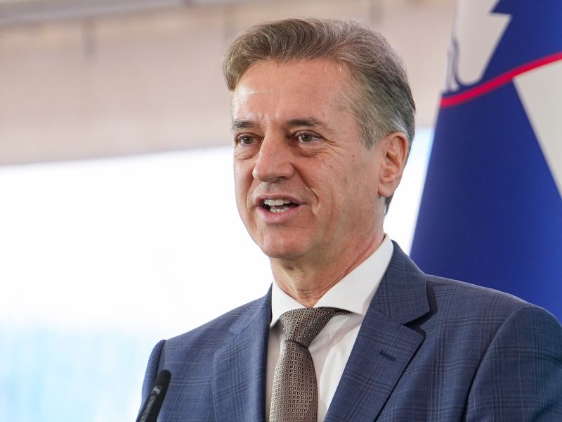Slika članka