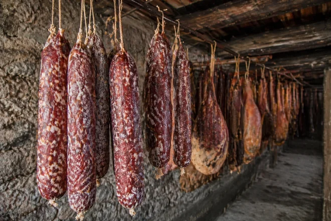 Slika članka