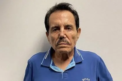 Slika članka