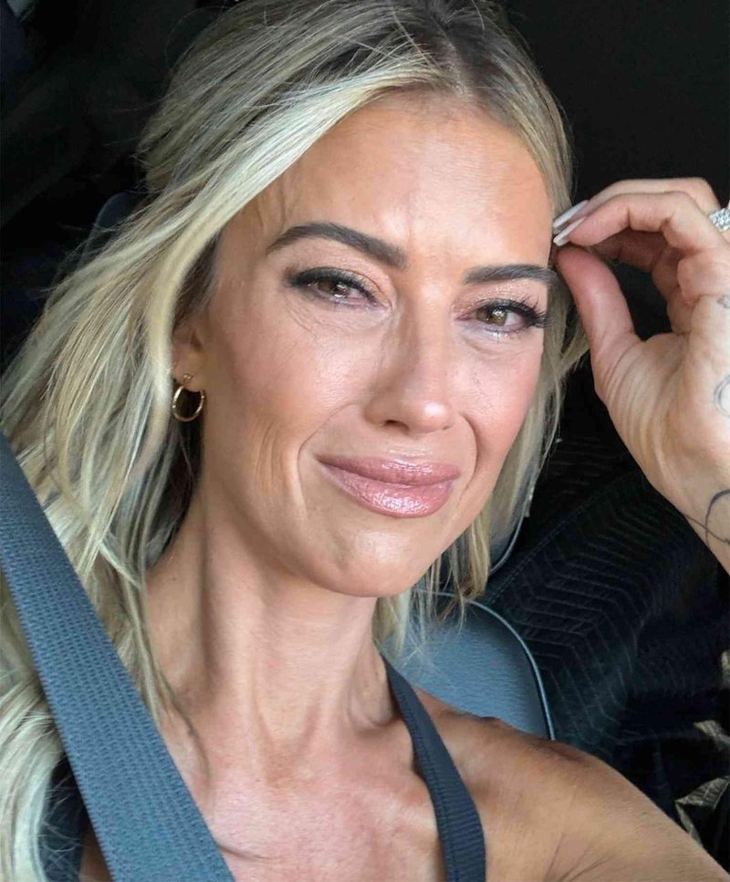 Slika članka