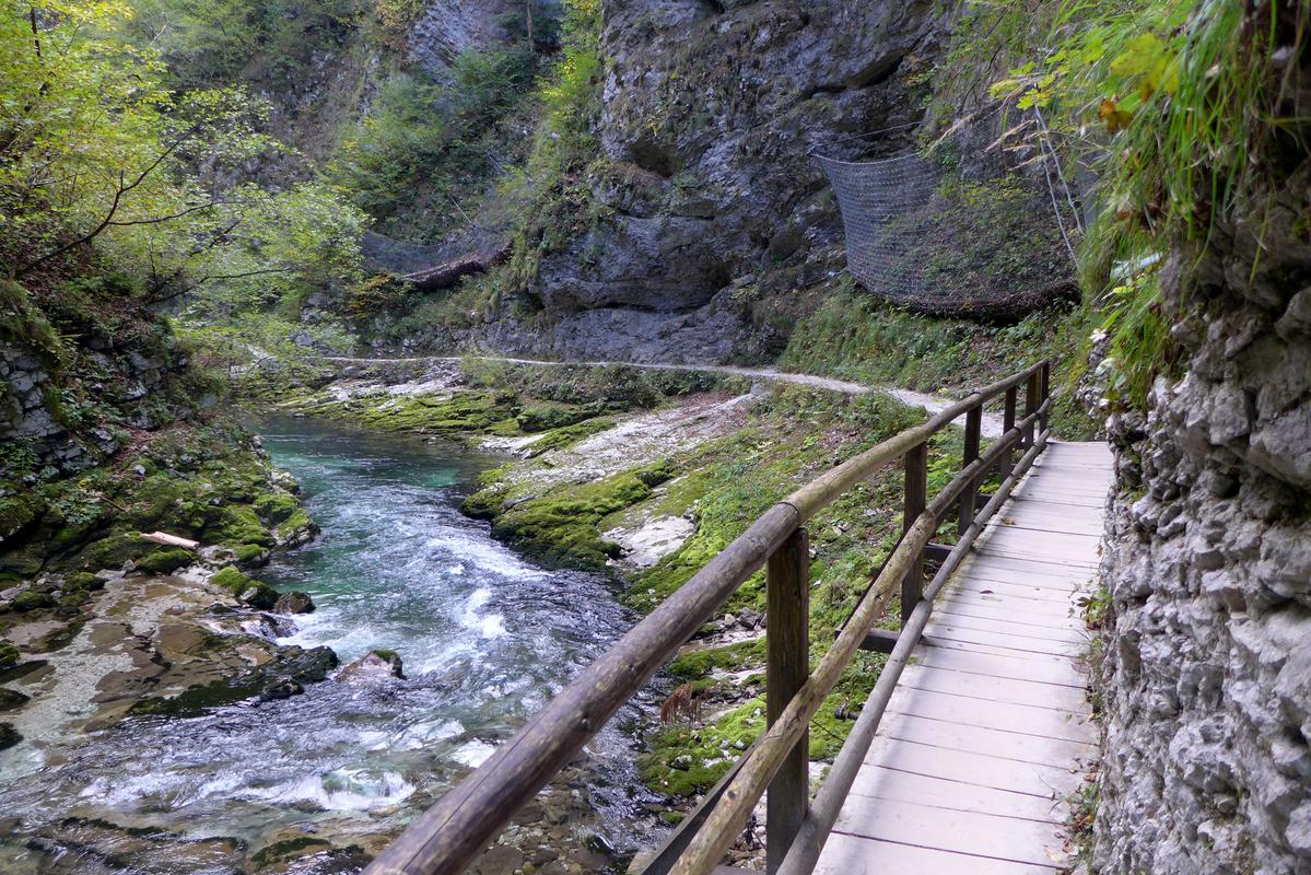 Slika članka