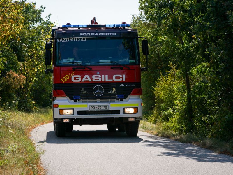 Slika članka