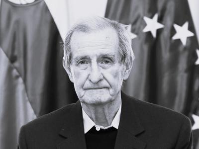Slika članka
