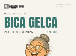 Slika članka