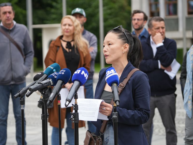 Slika članka