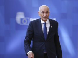 Slika članka