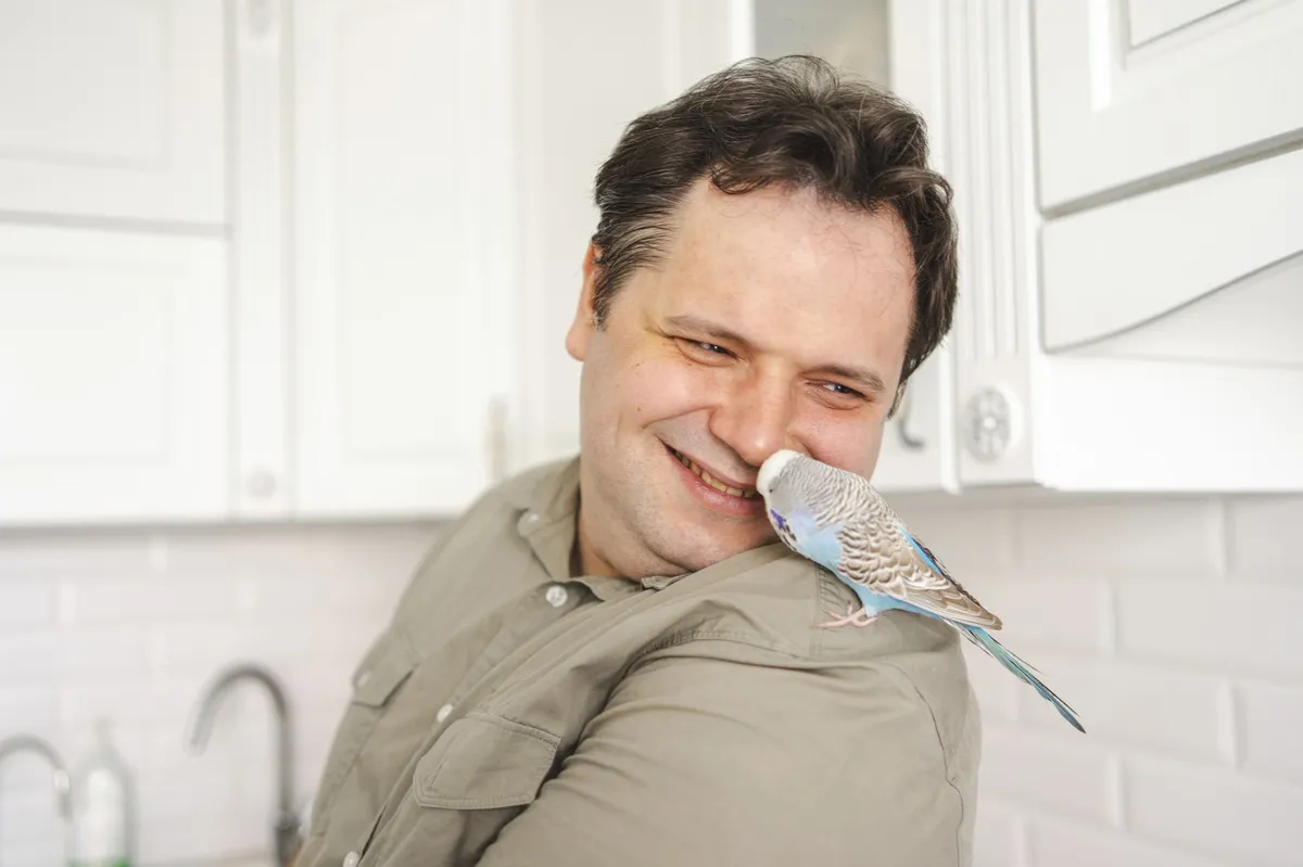 Slika članka