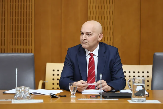 Slika članka