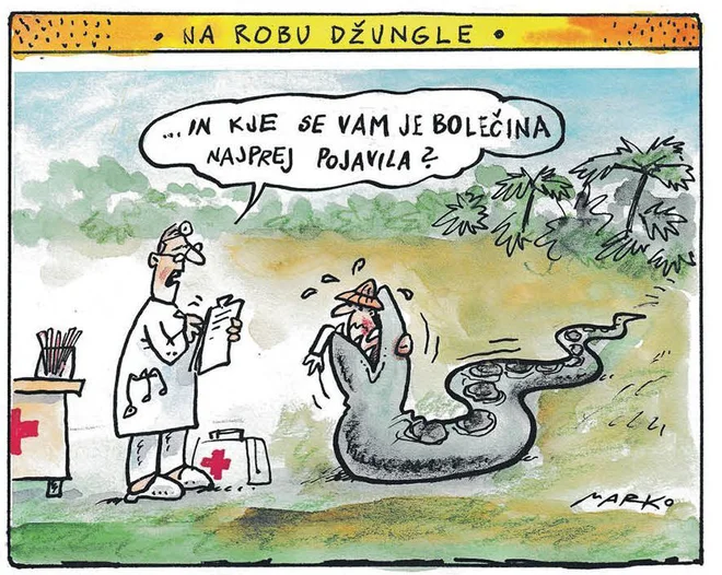 Slika članka