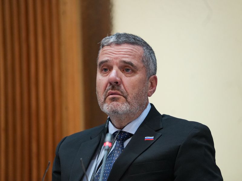 Slika članka