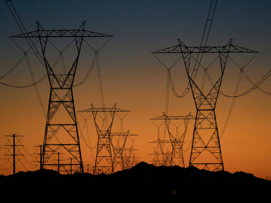Slika članka