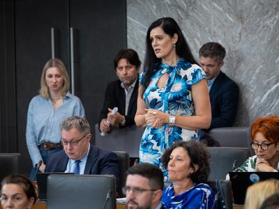 Slika članka