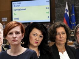 Slika članka