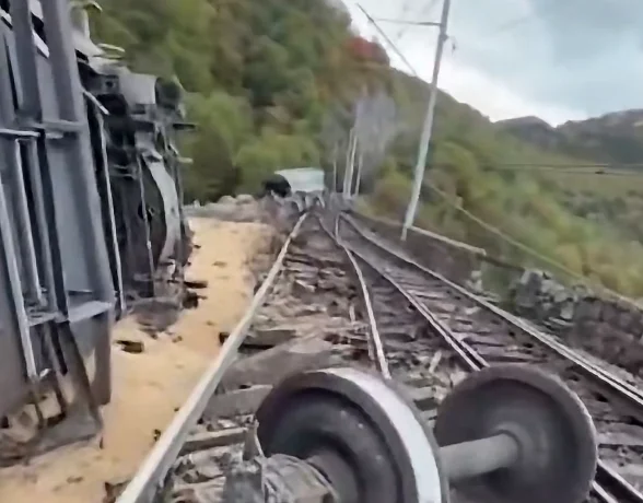 Slika članka