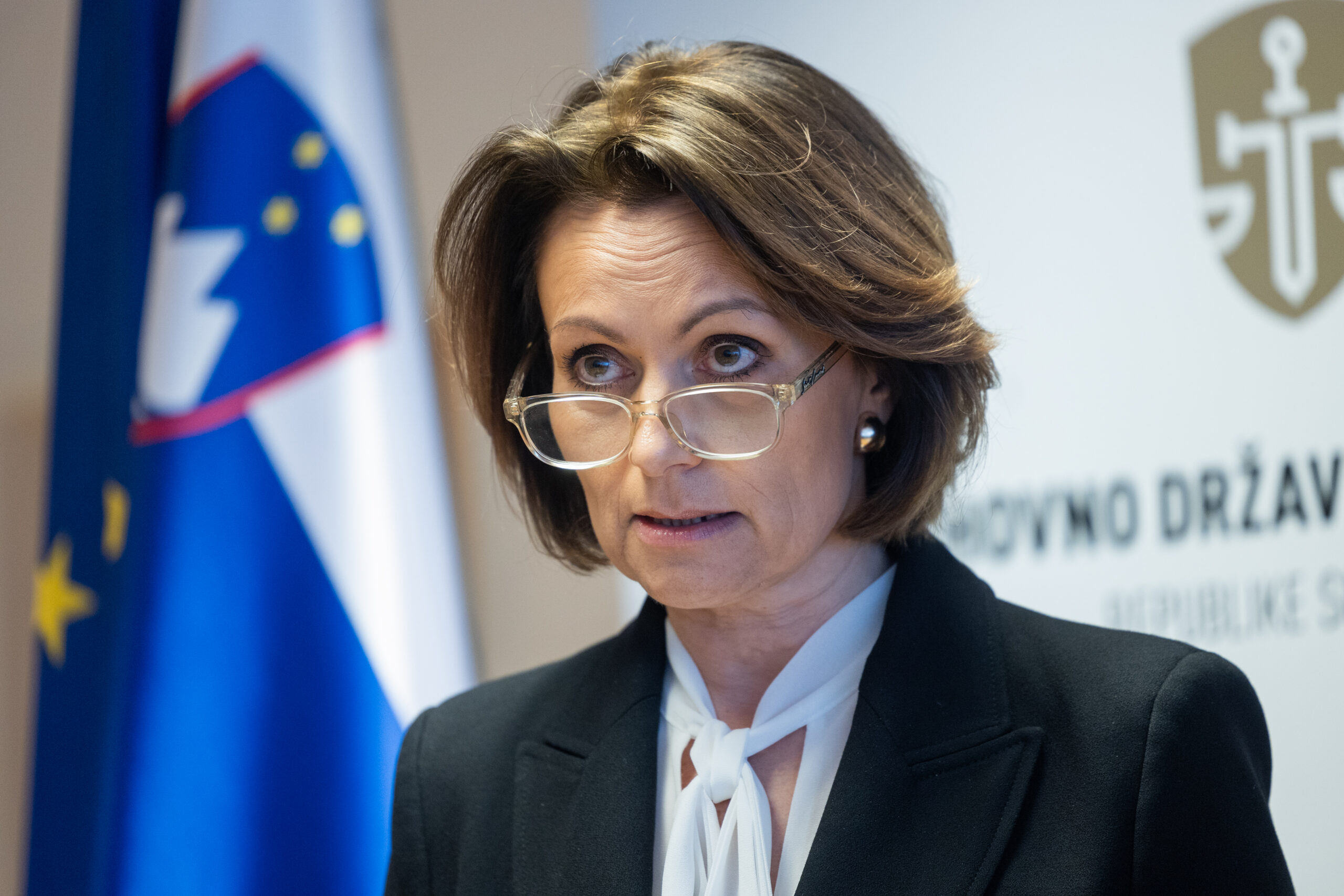 Slika članka