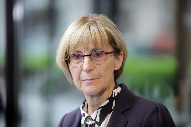 Slika članka