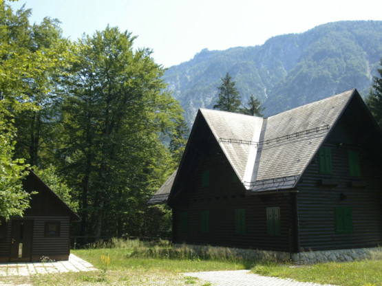 Slika članka