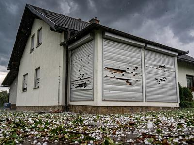 Slika članka