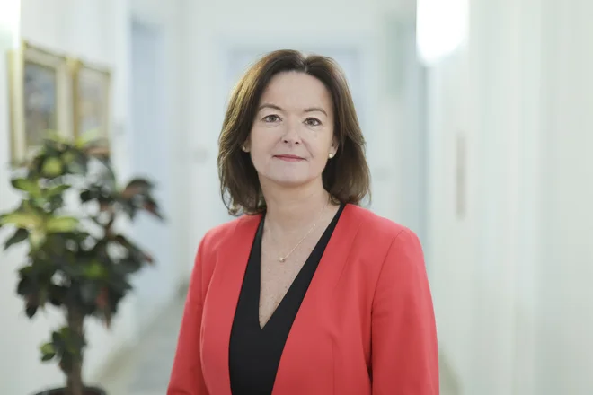 Slika članka