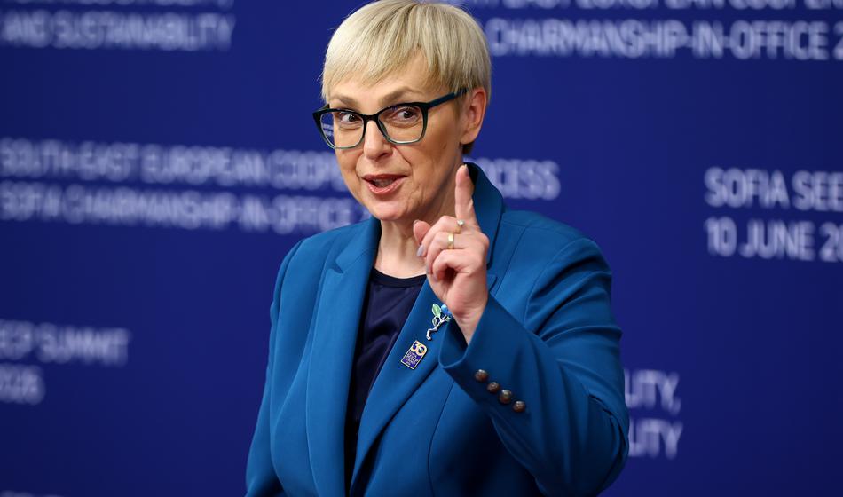 Slika članka
