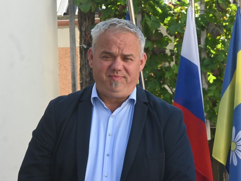 Slika članka