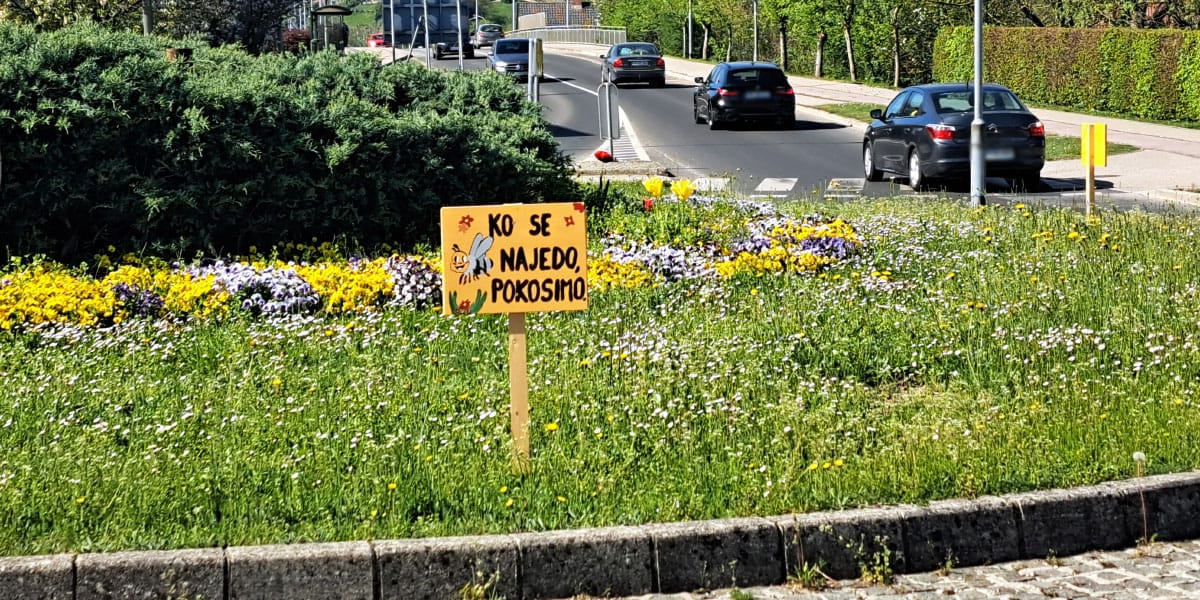 Slika članka