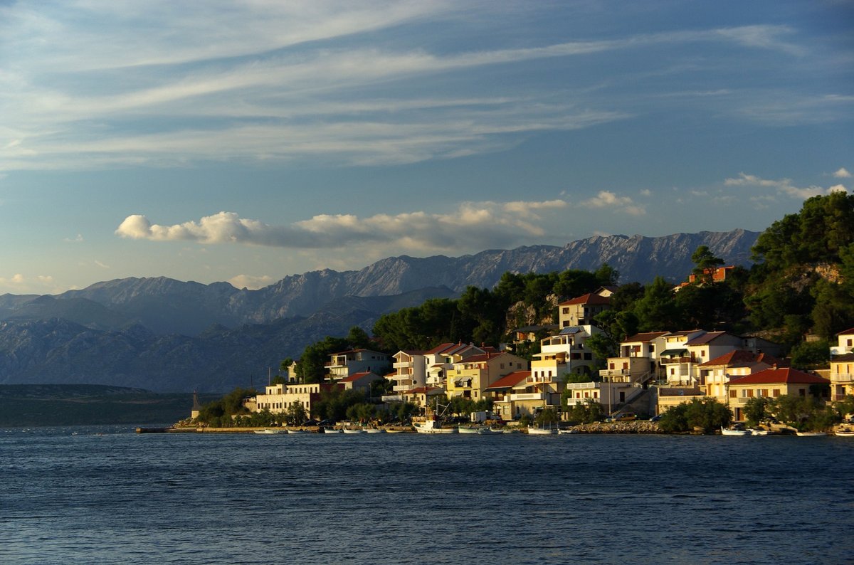 Slika članka
