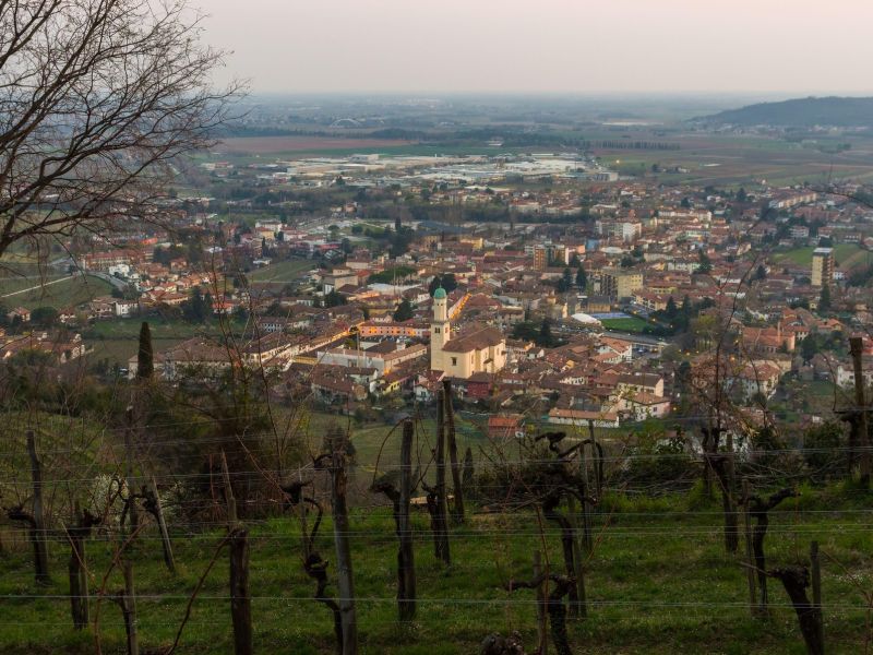 Slika članka