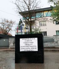 Slika članka