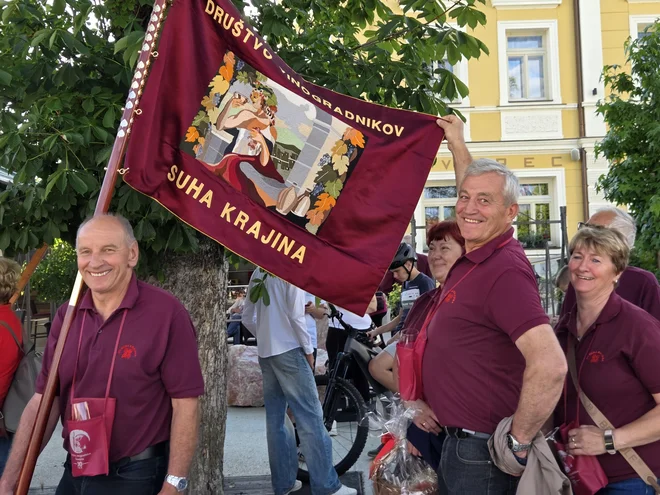 Slika članka