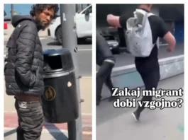 Slika članka