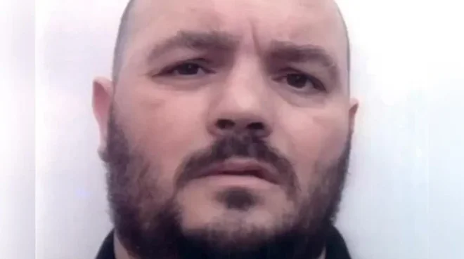 Slika članka