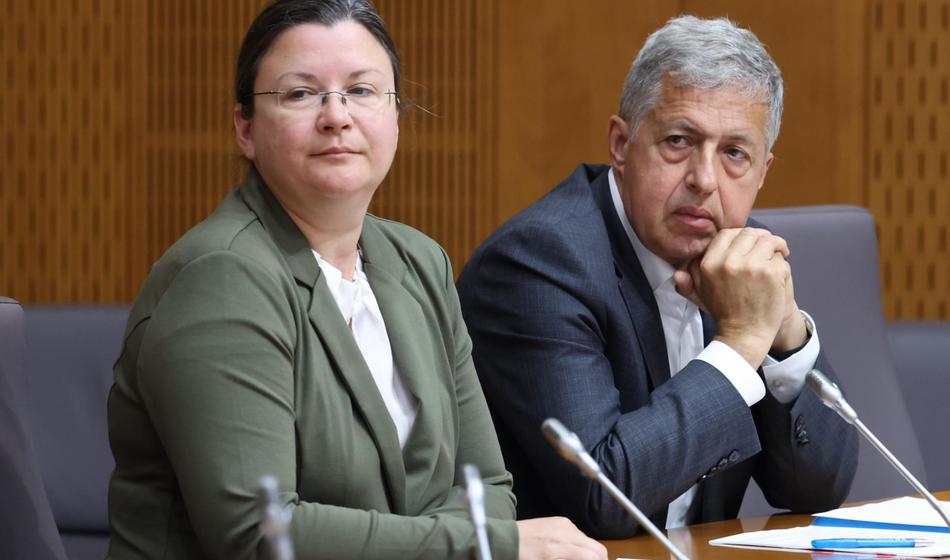 Slika članka