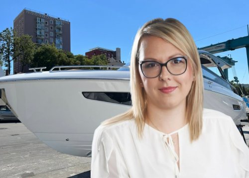 Slika članka