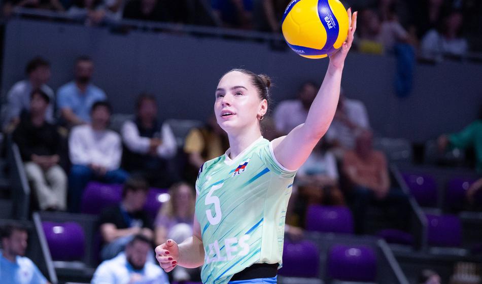 Slika članka