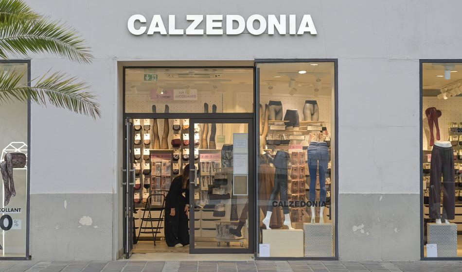 Slika članka