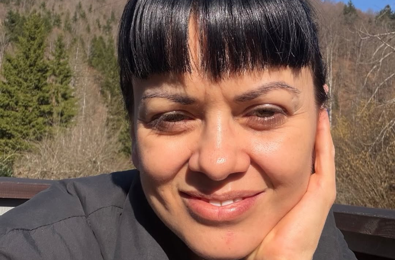 Slika članka