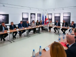 Slika članka