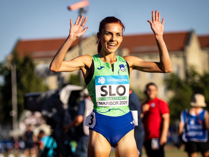 Slika članka