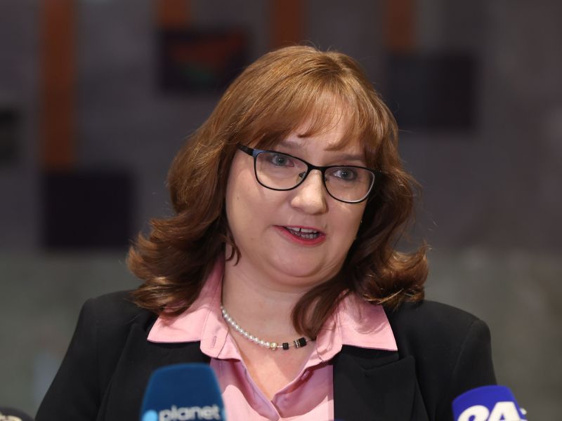 Slika članka